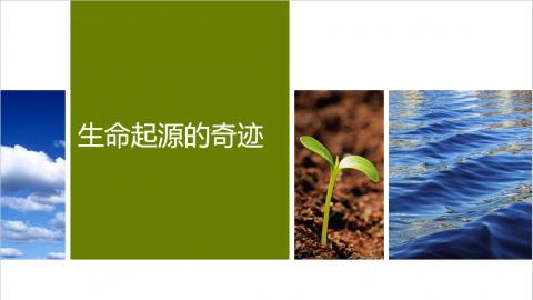 默认教学计划 